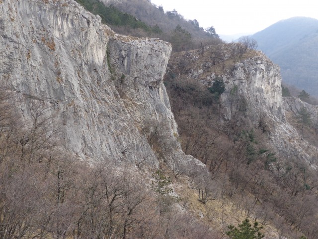 Glinščica, 28.01.2017 - foto