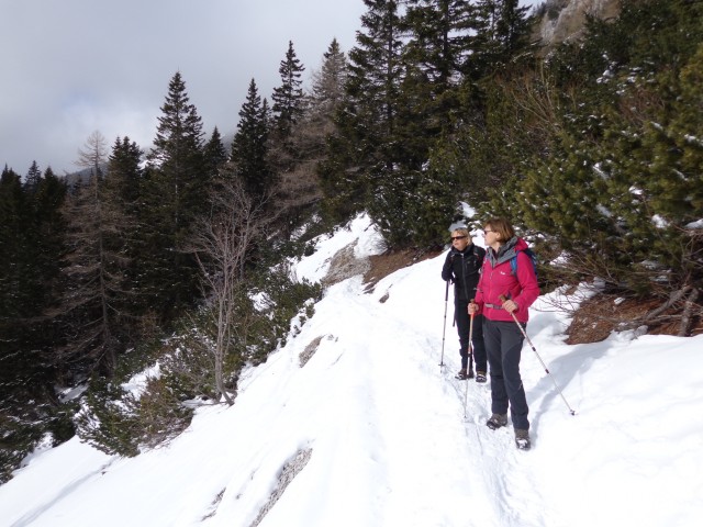 Zelenica, 19.02.2017 - foto