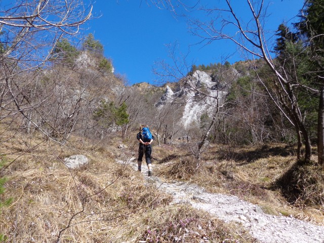 Korošaški slapovi, Kamniški vrh, 11.03.2017 - foto