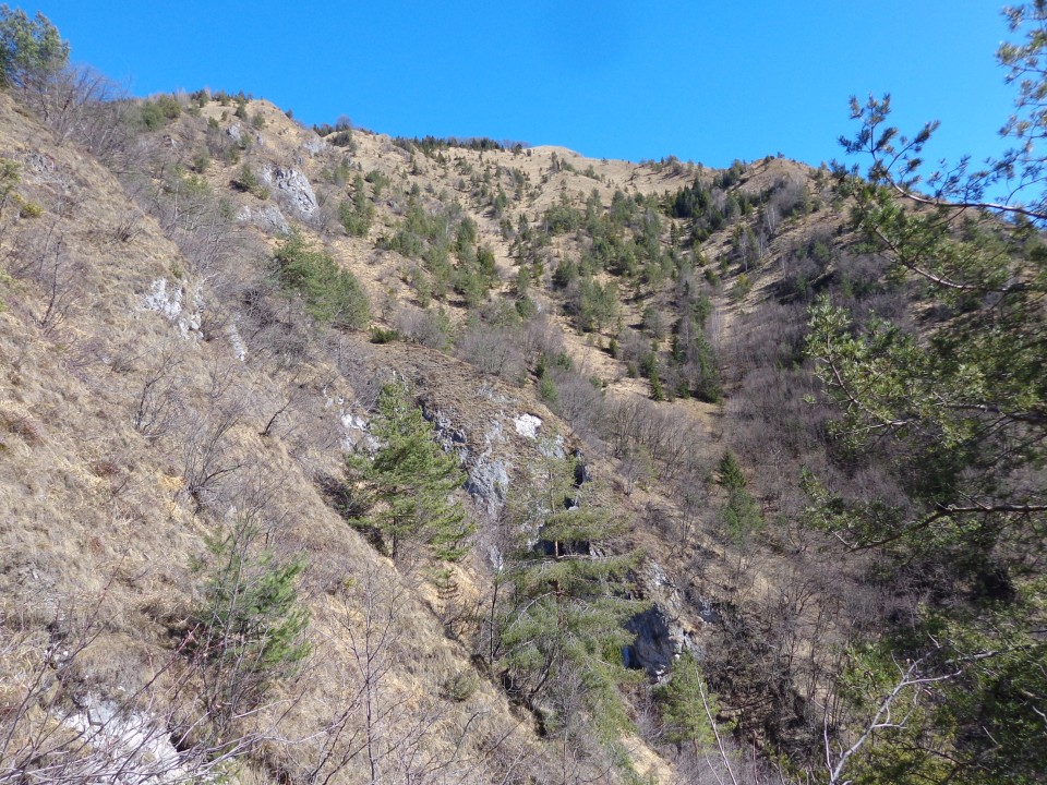 Korošaški slapovi, Kamniški vrh, 11.03.2017 - foto povečava