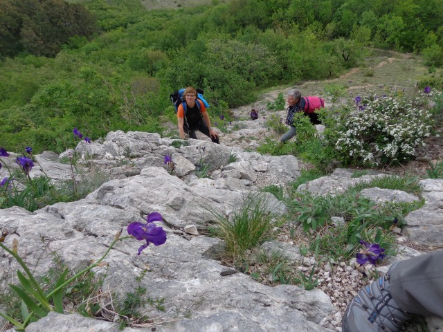 Krk-Baška-plezališče Portafortuna, 25.04.2017 - foto