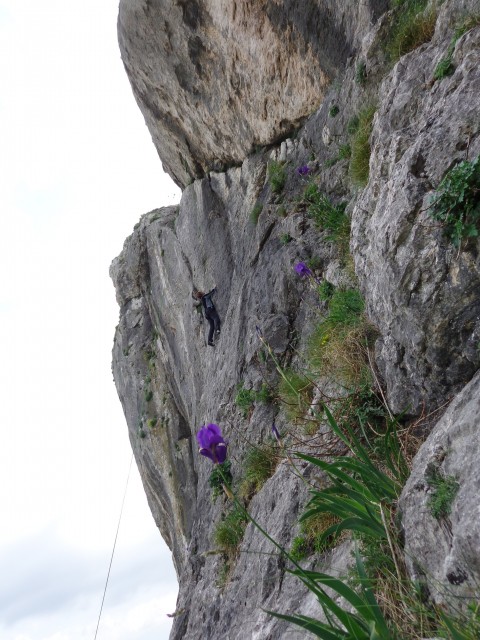 Krk-Baška-plezališče Portafortuna, 25.04.2017 - foto
