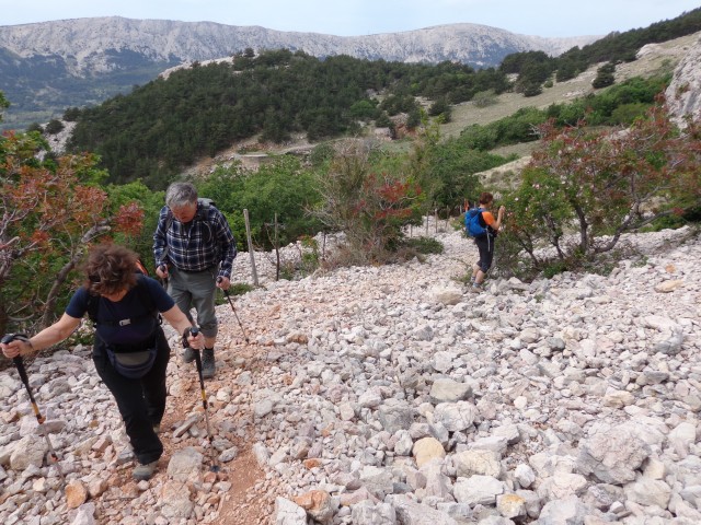 Krk-Baška- vrh Hlam-a, 26.04.2017 - foto