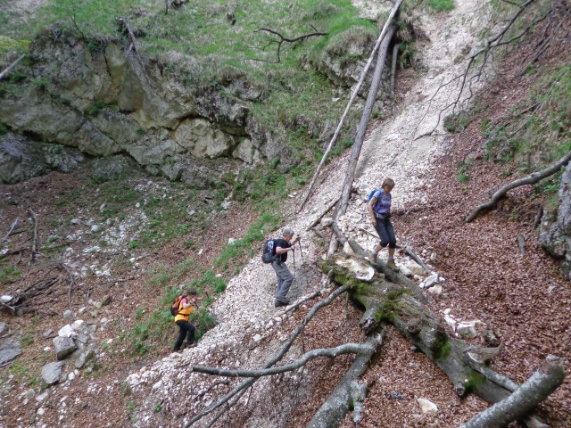 Kamniški dedec, 28.05.2017 - foto