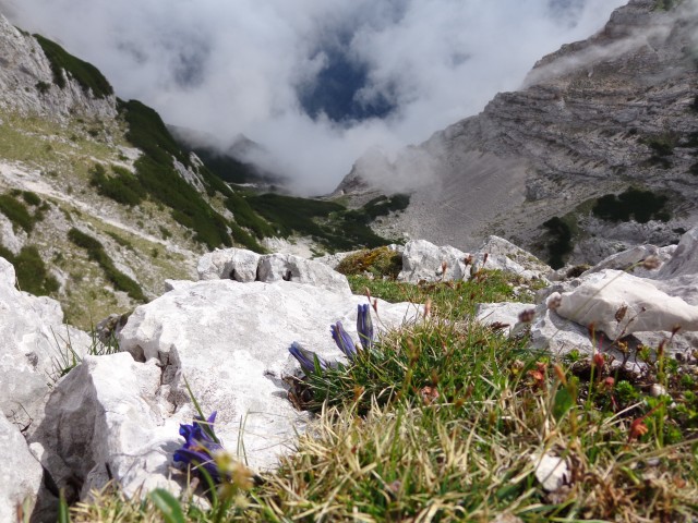 Krvavec - Vrh Korena, 17.06.2017 - foto