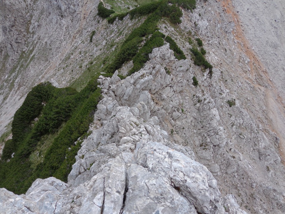 Ledine - Storžek, 21.06.2017 - foto povečava