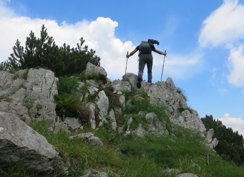 Orožnova koča, Lisec, 05.07.2017 - foto povečava