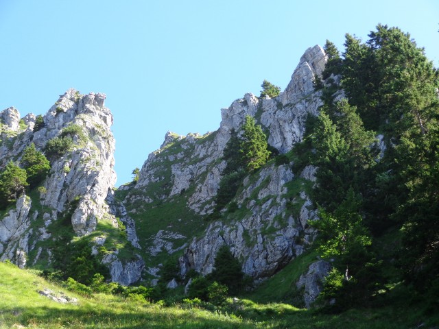 Ratitovec - po lovski, 18.07.2017 - foto