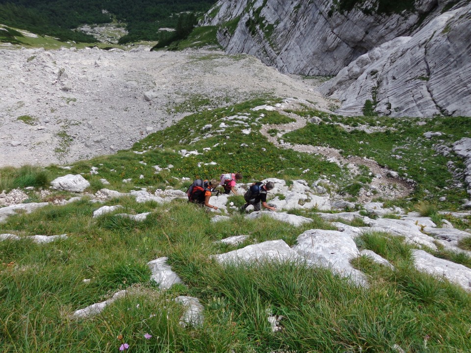 Kriški podi - Planja, 16.08.2017 - foto povečava