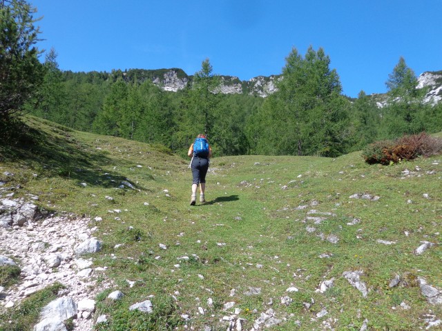 Pokljuka - Mrežce, 13.09.2017 - foto