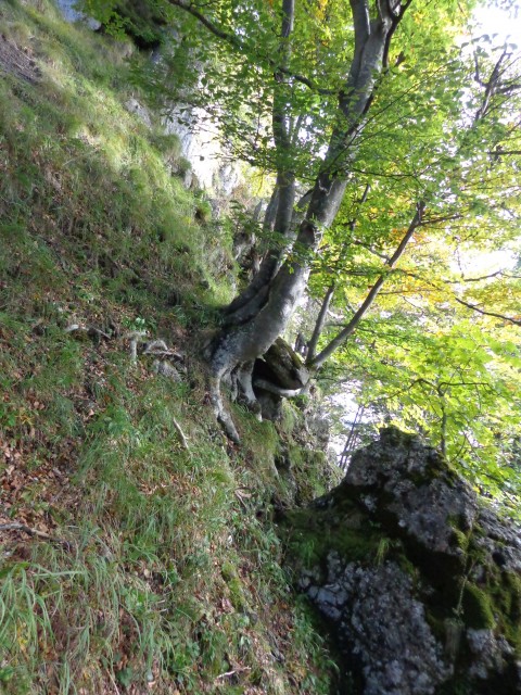Ratitovec - grebenska, 22.09.2017 - foto