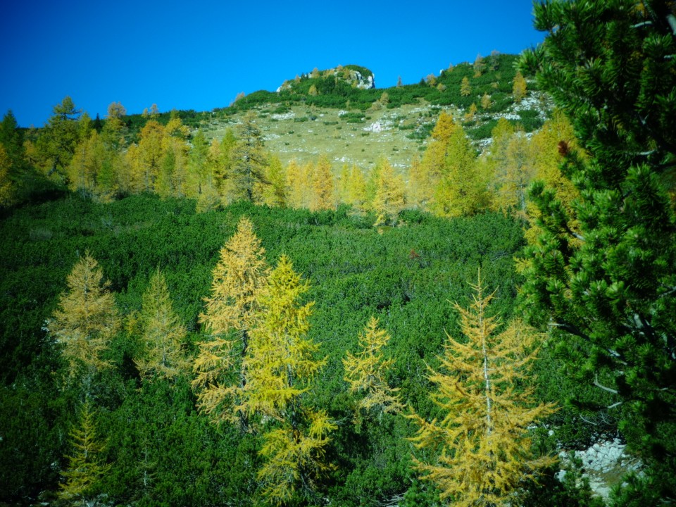 Nad Pokljuko, 12.10.2017 - foto povečava