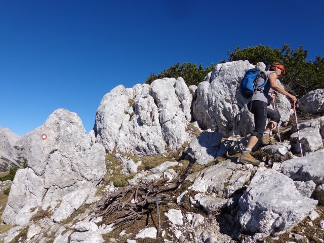 Krvavec - vrh Korena- Dolge njive, 19.10.2017 - foto