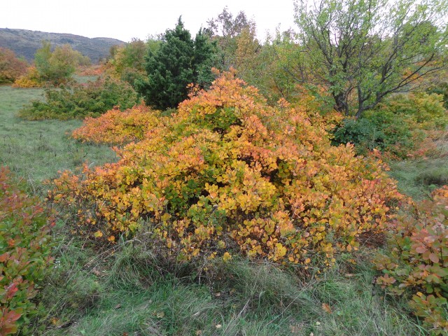 Sočerga - spodmoli, 28.10.2017 - foto