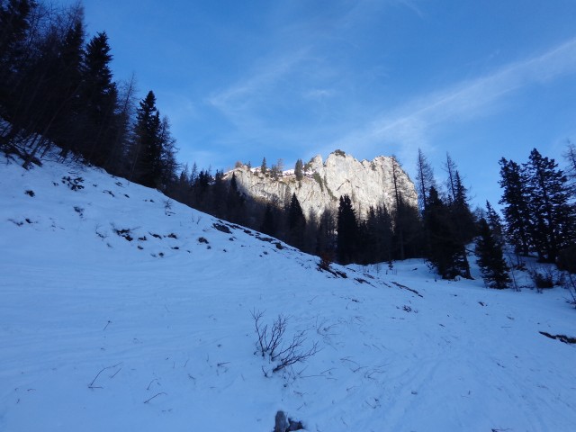 Zelenica - suho rušje, 23.11.2017 - foto