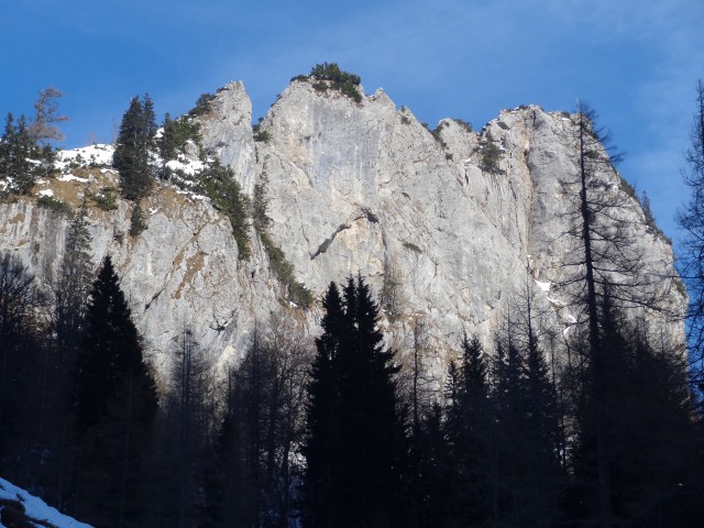 Zelenica - suho rušje, 23.11.2017 - foto