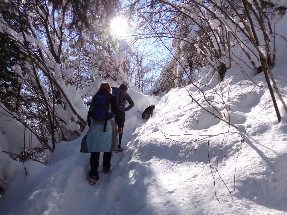 Jošt nad Kranjem, 14.02.2018 - foto povečava