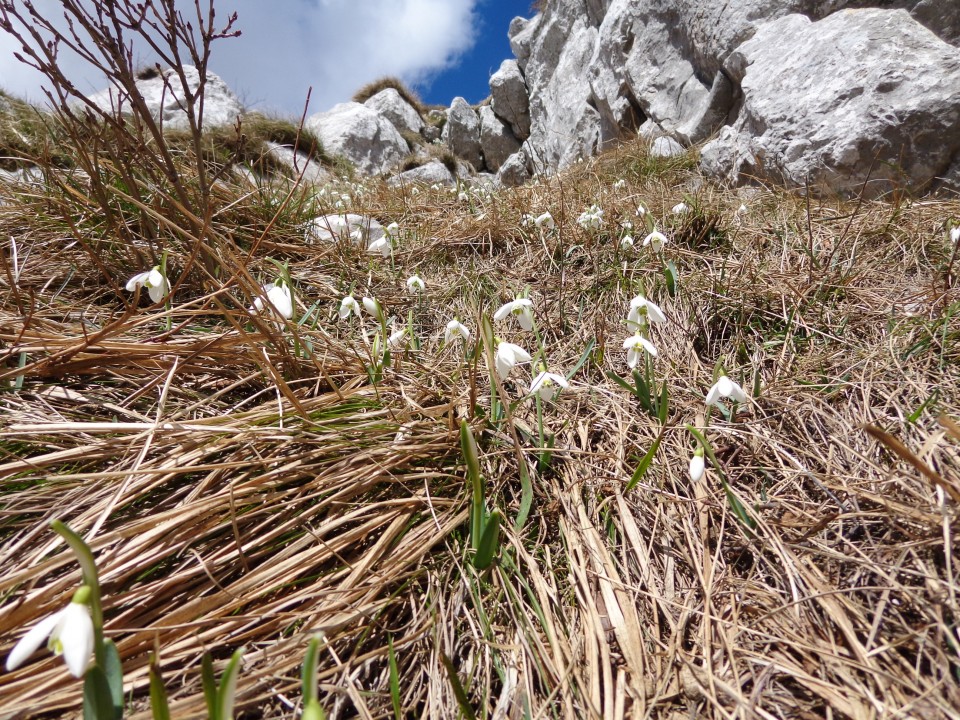 Nanos - po svoje, 02.04.2018 - foto povečava