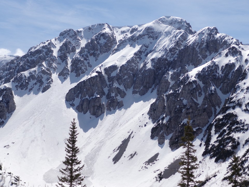 Zelenica, Suho rušje, 14.04.2018 - foto povečava