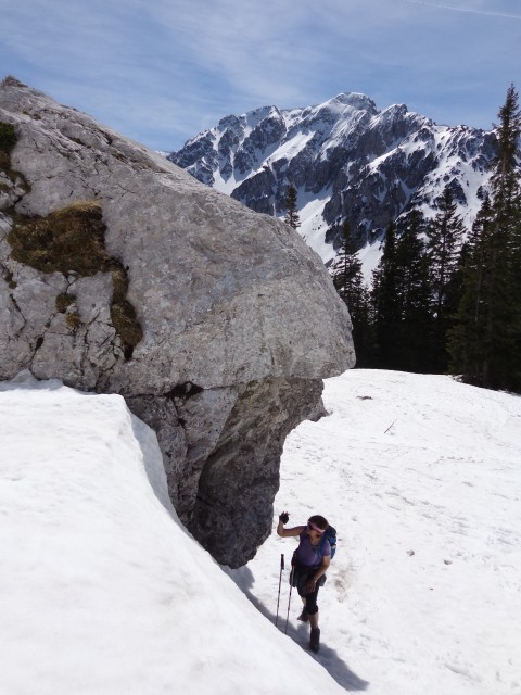 Zelenica, Suho rušje, 14.04.2018 - foto