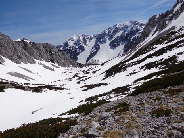 Zelenica, Suho rušje, 14.04.2018 - foto