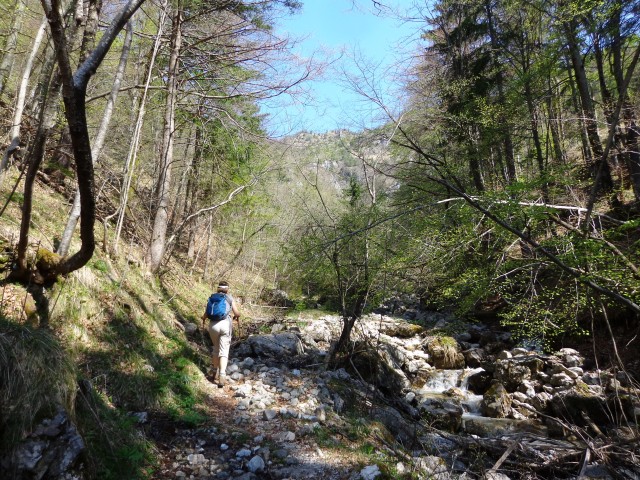 Korošaški slapovi, Pl. Osredek,  20.04.2018 - foto