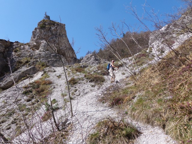 Korošaški slapovi, Pl. Osredek,  20.04.2018 - foto