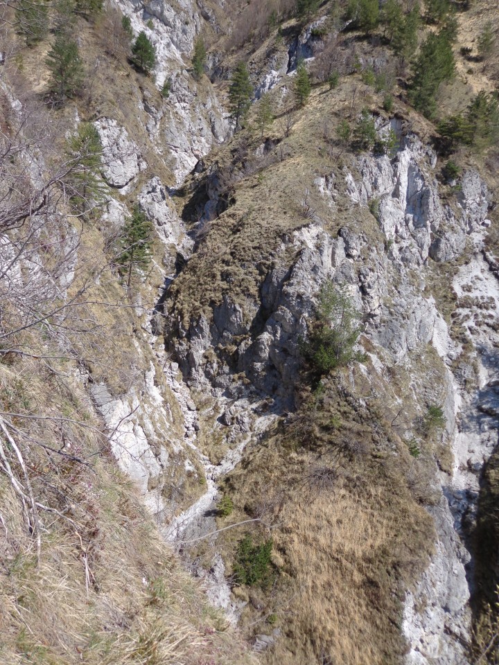 Korošaški slapovi, Pl. Osredek,  20.04.2018 - foto povečava