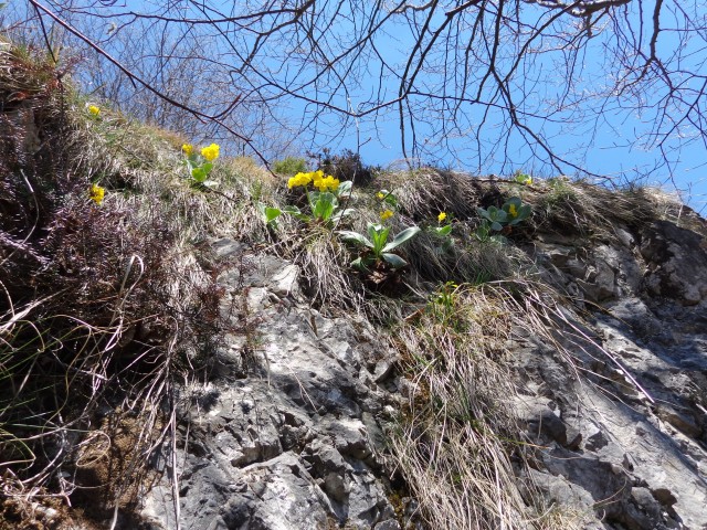 Korošaški slapovi, Pl. Osredek,  20.04.2018 - foto