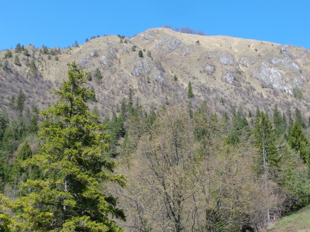 Korošaški slapovi, Pl. Osredek,  20.04.2018 - foto