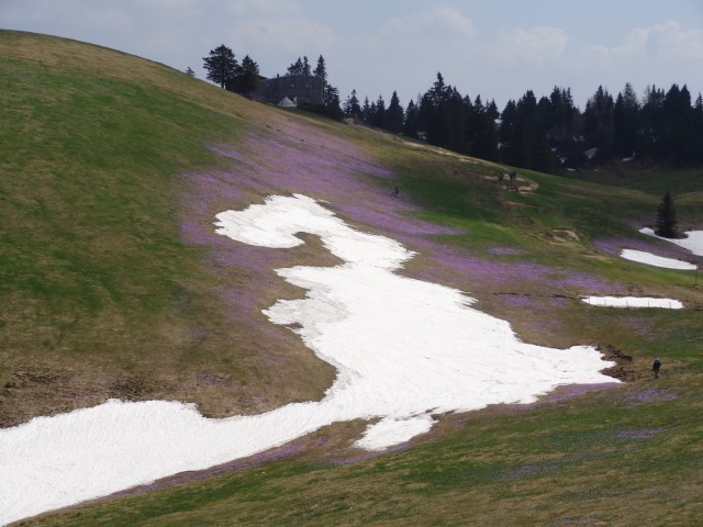 Velika Planina, 25.04.2018 - foto