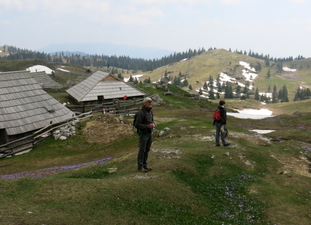 Velika Planina, 25.04.2018 - foto