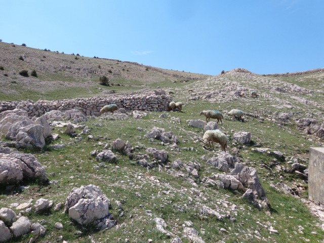 Krk, Baška, V. Hlam, 09.05.2018 - foto