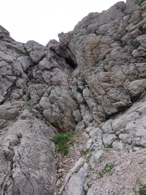 Baška, mimo votline na Ljubimer, 12.05.2018 - foto