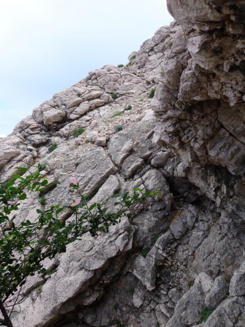 Baška, mimo votline na Ljubimer, 12.05.2018 - foto