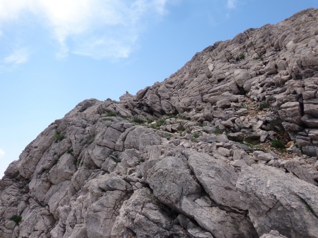 Baška, mimo votline na Ljubimer, 12.05.2018 - foto