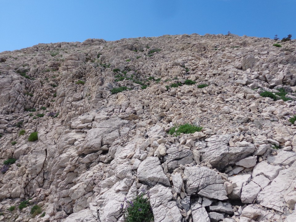 Baška, mimo votline na Ljubimer, 12.05.2018 - foto povečava