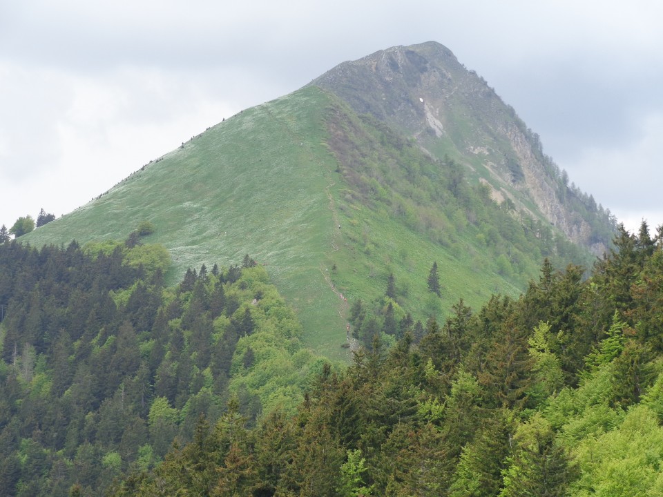 Golica, 19.05.2018 - foto povečava