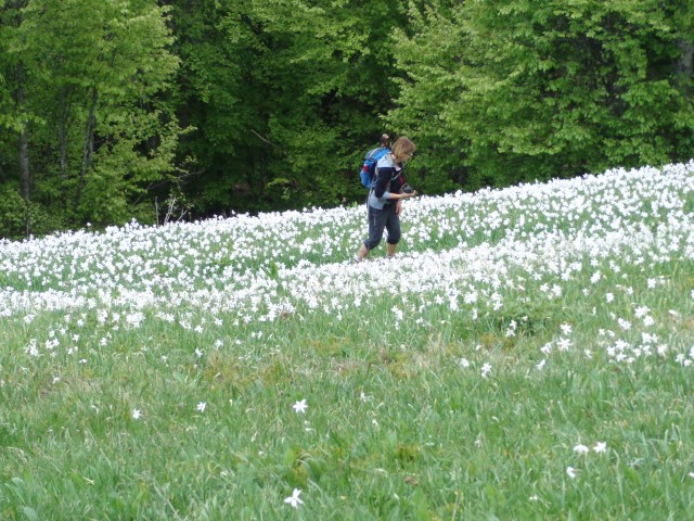 Golica, 19.05.2018 - foto