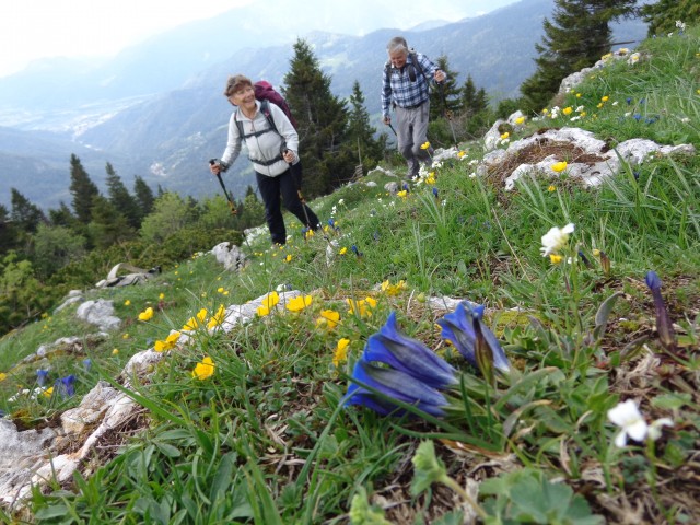 Struška, 19.05.2018 - foto