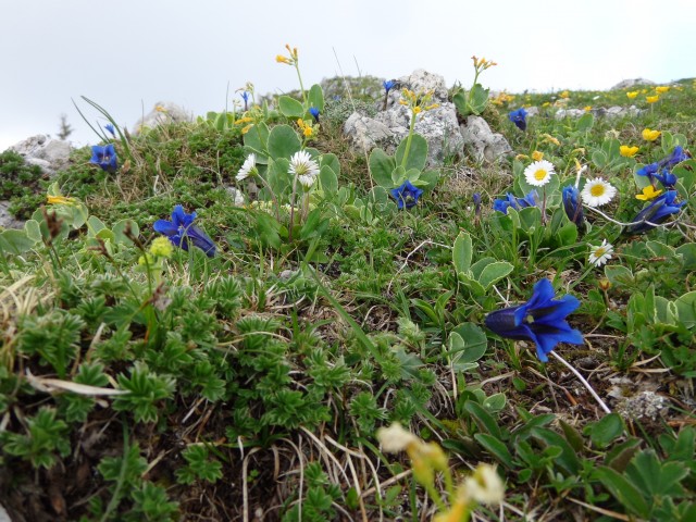 Struška, 19.05.2018 - foto