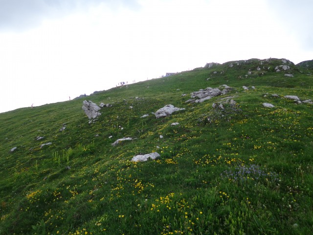 Ravne, Ratitovec, Altemaver, 02.06.2018 - foto
