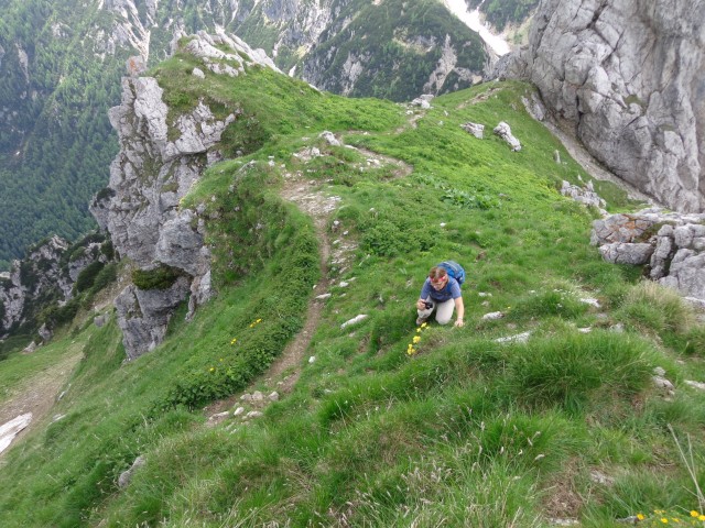 Čez Kačji rob na Viševnik, 03.06.2018 - foto