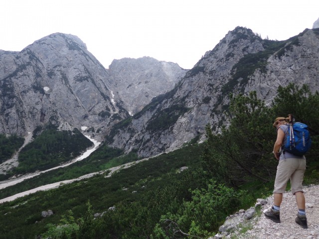 Ledine, Jezersko sedlo, 07.06.2018 - foto