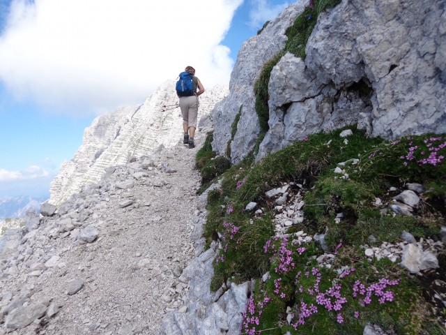 Cima di Terrarossa - Špik Hude p., 16.06.2018 - foto