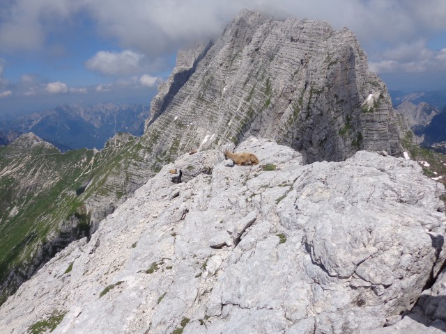 Cima di Terrarossa - Špik Hude p., 16.06.2018 - foto