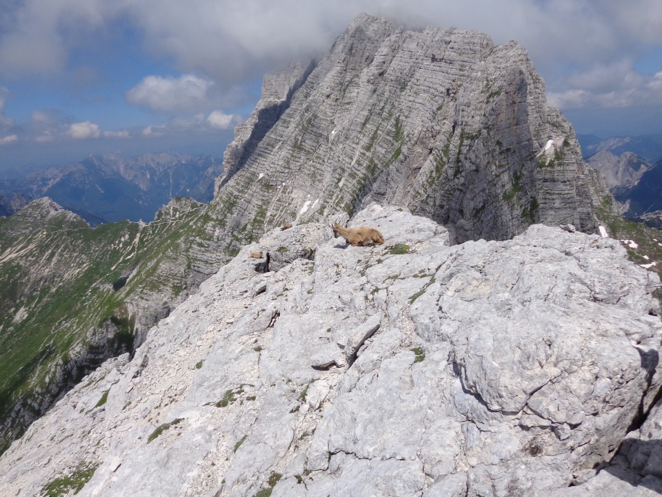 Cima di Terrarossa - Špik Hude p., 16.06.2018 - foto povečava