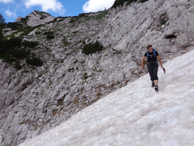 Ledinski vrh, Storžek-Belski turn, 23.06.2018 - foto