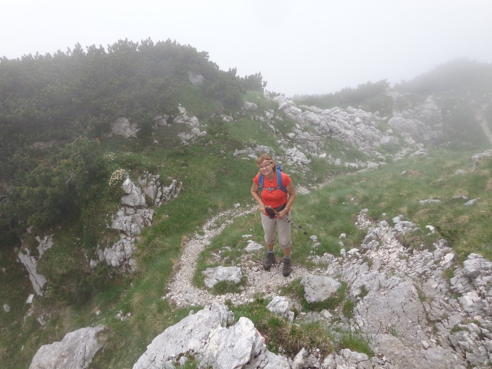 Kokrško sedlo, Dolge stene, 01.07.2018 - foto povečava