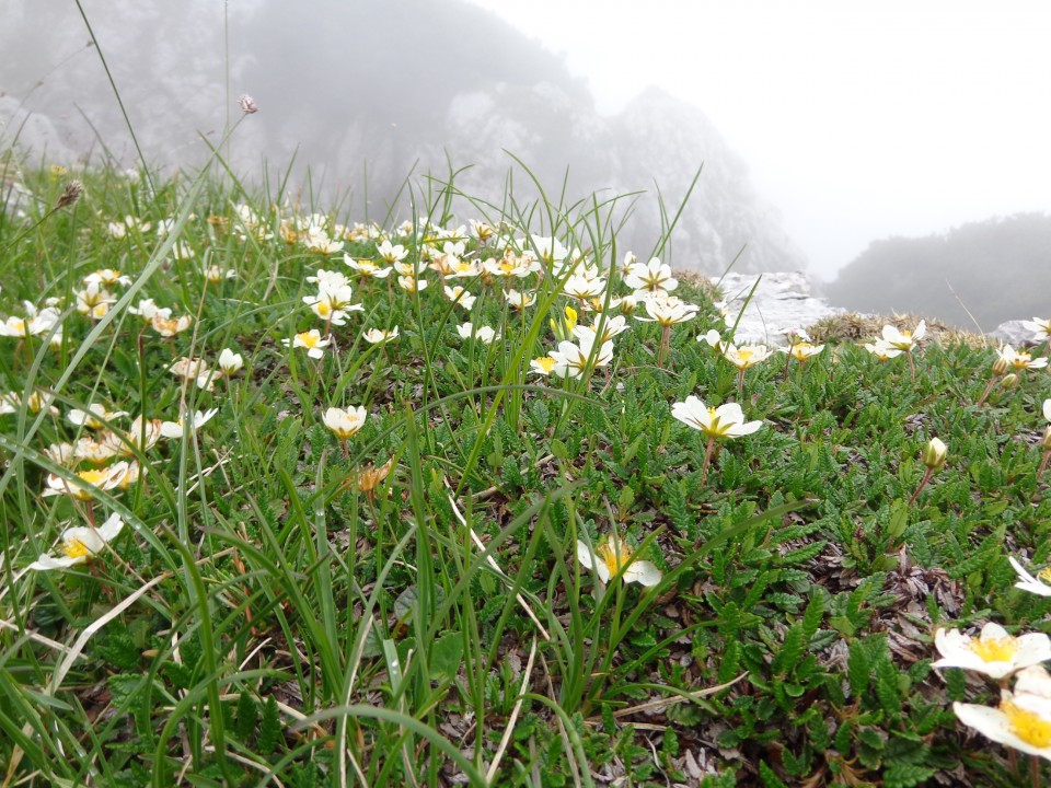 Kokrško sedlo, Dolge stene, 01.07.2018 - foto povečava